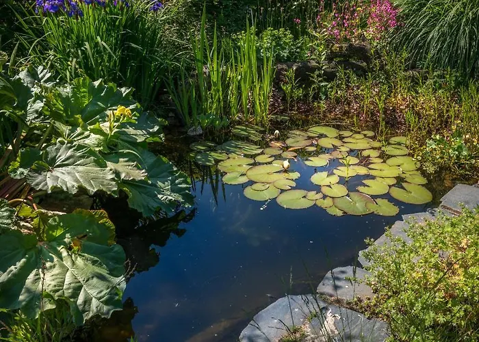 Bed & Breakfast Botervlieg Montfort