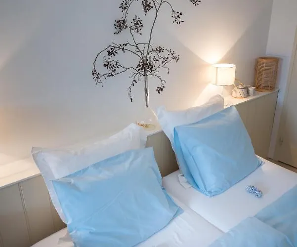 Botervlieg Bed & Breakfast Montfort