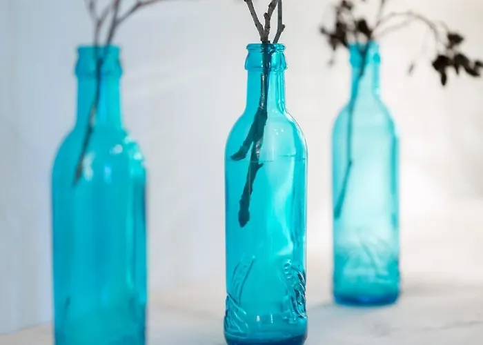 Bed & Breakfast Botervlieg