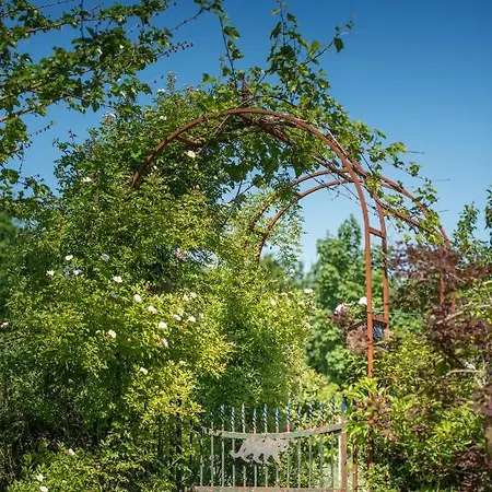 Bed & Breakfast Botervlieg